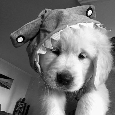 christina__048's profile picture. 
