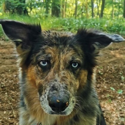 geli_fli's profile picture. 