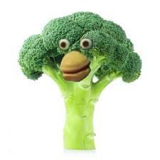 samuelespalkas's profile picture. tarder