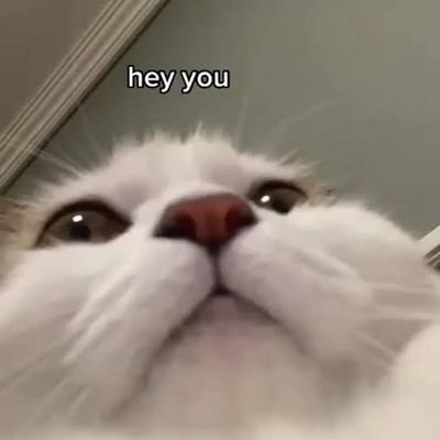 hayyou69's profile picture. Just here for the memes and shameless selfies ❤️❤️ 
Or Suno Dark Ho Sakta H Thora To Dhyan Se 👻