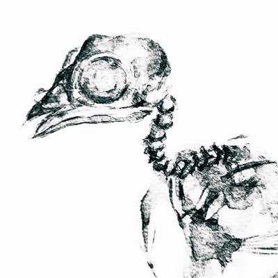 DOwa91339590's profile picture. 趣味で絵を描いてる者です🙂 (透明水彩)