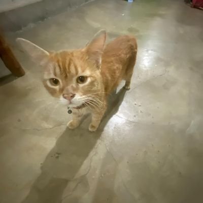 mark_F3rnandez's profile picture. 🔞 19yrs | 📍pampanga