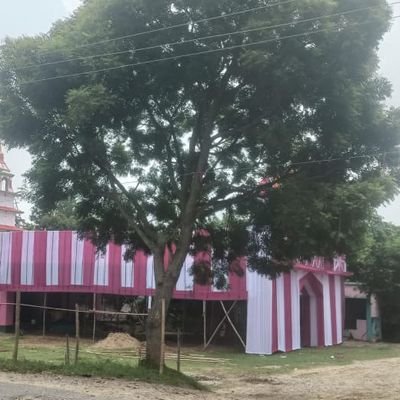 Roshanniro143's profile picture. 