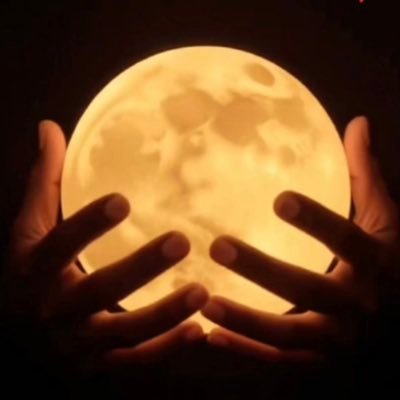 arabia511's profile picture. Ok