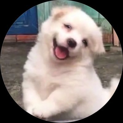 renebambam_'s profile picture. 