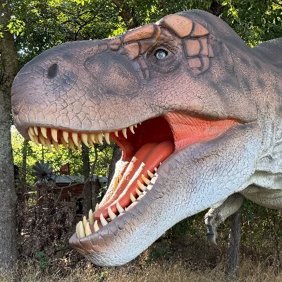 HeardNSM's profile picture. 🌿DFW | McKinney, TX 
🐢 289-acre nature preserve + trails 
🌿Nat. science museum 
🐝 Exhibits, events, edu. programs +
🌿501(c)3 nonprofit est 1967