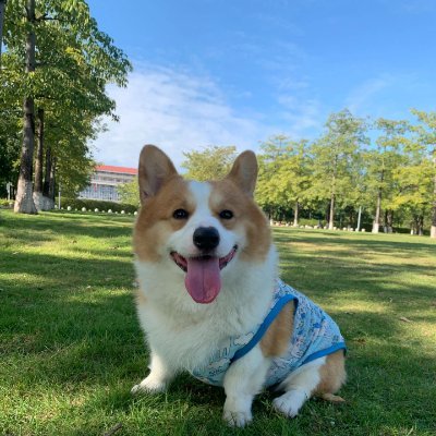 LiliaCrossman's profile picture. 🇺🇸 America First 🇺🇸 American Freedom
Capturing life's beautiful moments and documenting every difficult story 😁