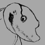 @Lizard_bread