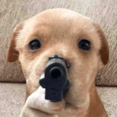 BigVeks's profile picture. Don’t cry but buy