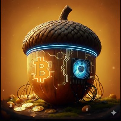 sat_squirrel's profile picture. Sat squirrel | crypto class of ‘17 | Volcanoes | #Bitcoin | #Cardano | Bank the Unbanked | Defi Degen