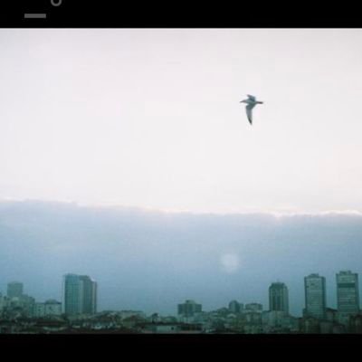 alp1142's profile picture. 