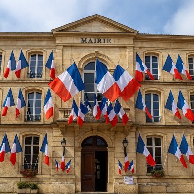 Fleroy64's profile picture. @CRSI_Paris; @ECRgroup; @ID_Libertes; @MarionMarechal;#UnionDesDroites; #UDR;#Identitelibertes;#jambonneurre; #chretien;