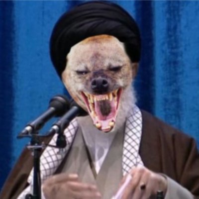 ناهید توکلیさんのプロフィール画像