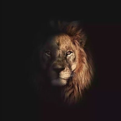 47_7h7's profile picture. Crypto & Forex trader | Technical analysis | Building financial freedom