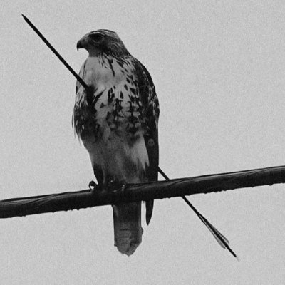 ouzeri1416368's profile picture. 