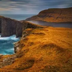 73alimac73's profile picture. 