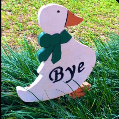 paranoidfreud01's profile picture. 