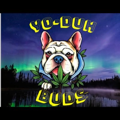 YoDuhBuds's profile picture. 