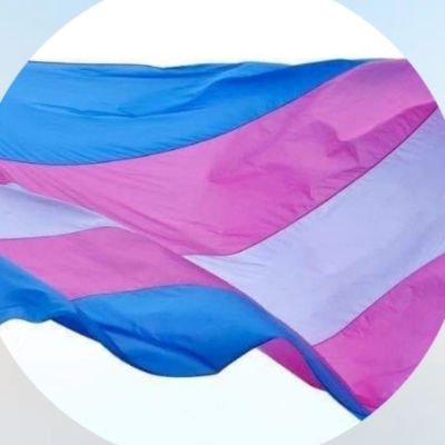 Kittygilbrt3331's profile picture. Transgender ❤️Trans 👑 only back up account💎 contact for booking 💎 Chaturbate cutie 🥰 porn princess 👑 I like making people happy 💗💗
