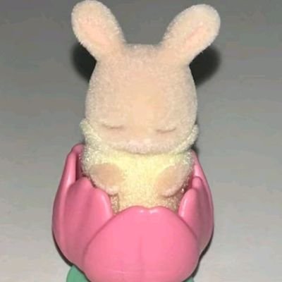 mariah0kcal's profile picture. 𝑺𝒆𝒋𝒂 𝒃𝒆𝒎 𝒗𝒊𝒏𝒅𝒐(𝒂) 𝒂𝒐 𝒎𝒆𝒖 𝒑𝒆𝒓𝒇𝒊𝒍 ᡣ𐭩𖦹๋࣭⭑⁺‧₊˚