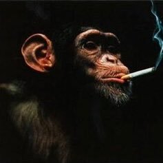 brjmartingale's profile picture. p