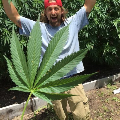weedrolls360's profile picture. We're just putting the “we” in weed, one hit at a time Because buds don't let buds get high alone 4️⃣➗2️⃣0️⃣ ⛽️🍁🔥💰🚀