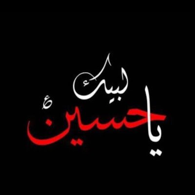 syednaqvis48480's profile picture. 