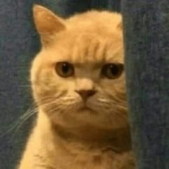 muhammadmln24's profile picture. 