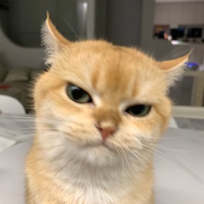 gabiebber's profile picture. eu choro ouvindo justin bieber