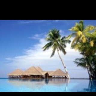 TestAndroid585's profile picture. 