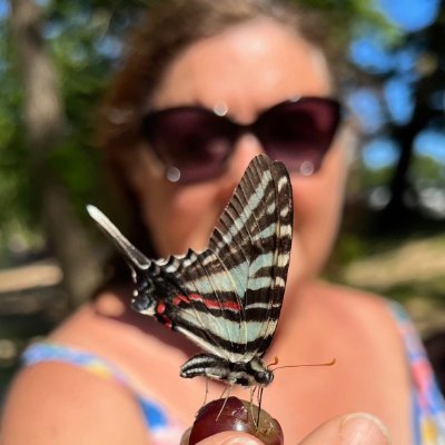 Ahorn888's profile picture. 