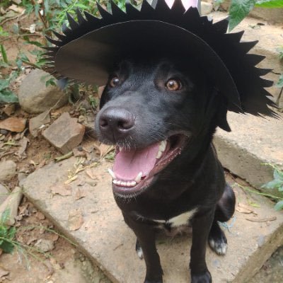 federic9733701's profile picture. 