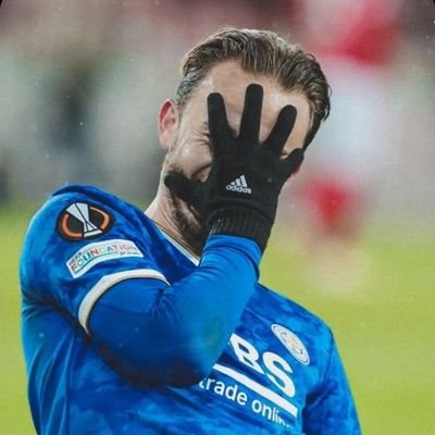 leicesterturku's profile picture. 🦊💙🇹🇷 #LCFC