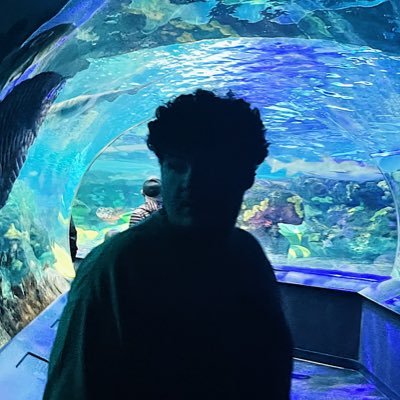 @WiIdaces