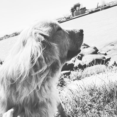 hitty1981's profile picture. 暇な時にのんびり出来るアカウントです。