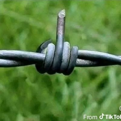 lona1051's profile picture. lona