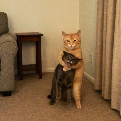 __4a6's profile picture. とちぎぎ