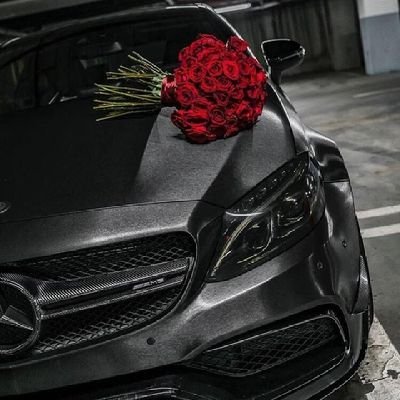 80irz's profile picture. rebeu frais et jaloux