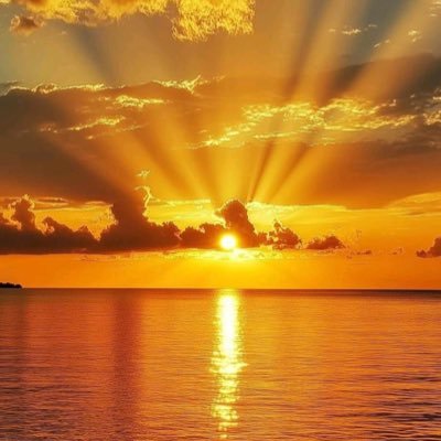 AlbaArgue007's profile picture. Strength and courage