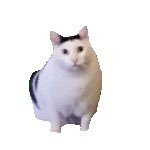 iuWZdM85hT44298's profile picture. 