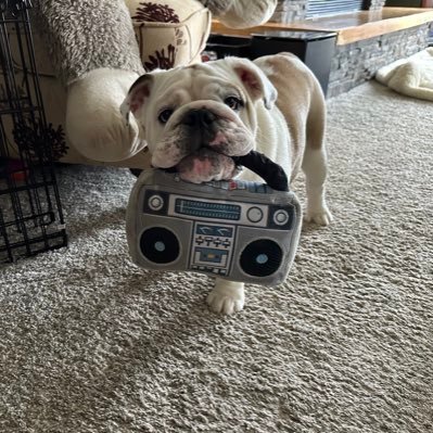 DerekGates48685's profile picture. 