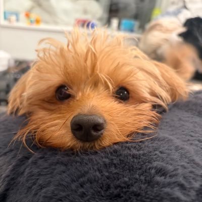 wan_ruirui's profile picture. 