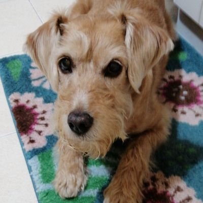 mariplins58's profile picture. 