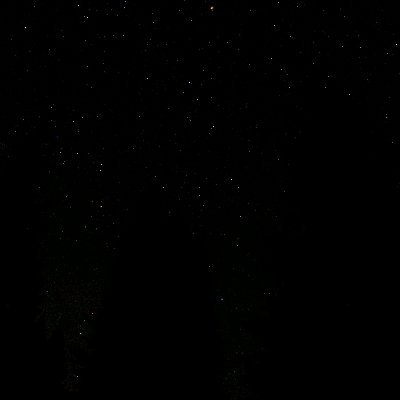 wattsrose90's profile picture. 