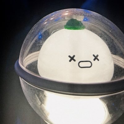 bongvely9teen's profile picture. she/her;29✨ #봉재 ✨#대열 #지범 🎳• #김민서 #ALEX💧• #쥬리 🚀👊🏻 • INFINITE 💛 • ≫ 🌟N.FLYING 🌟 #서동성 ♡ #승짱