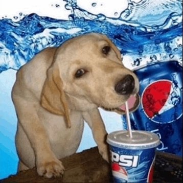 @b3lg1an_st3w