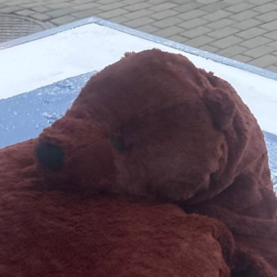 m8rcel's profile picture. my bear plushie got drunk X Lite Android Alpha Tester @Copilot is a cool friend