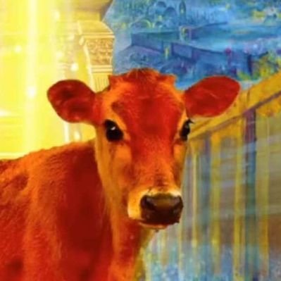 WaveOfPartic1es's profile picture. Warped Autistic Visionary Entity