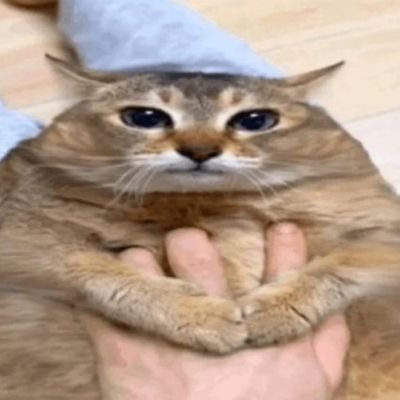 gumigumiboom's profile picture. 🔞Account, no minors!
Account for stuff i wouldnt have balls to do in my main and be experimental with tastes and stuff i create. THERE MAY BE NSFW!!