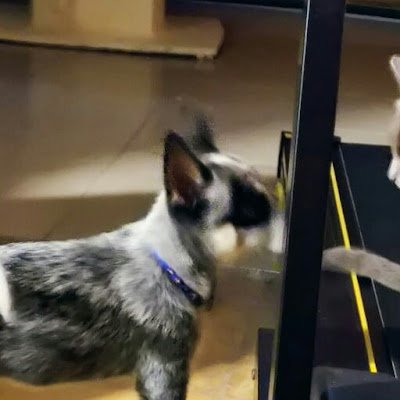 OnofreVasq17097's profile picture. 